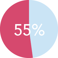 pie chart showing 55% percent